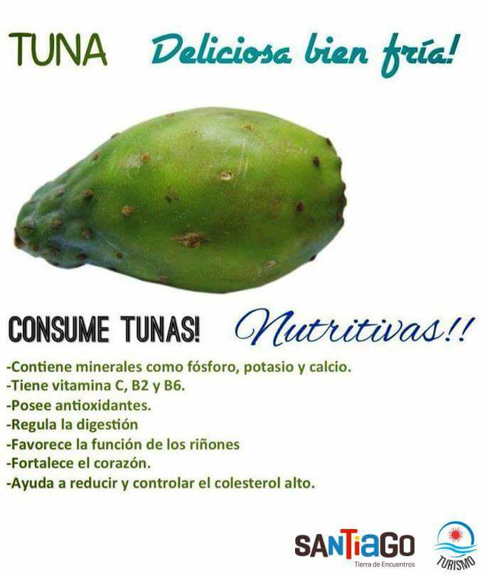 Las propiedades que contiene la Tuna fruto de nuestro Santiago